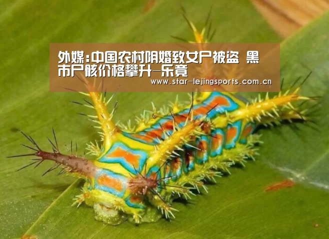 外媒:中国农村阴婚致女尸被盗 黑市尸骸价格攀升-乐竟(图4) 乐竟官方网站